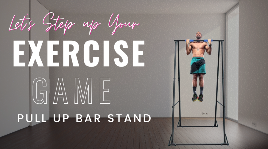 Pull Up Bar