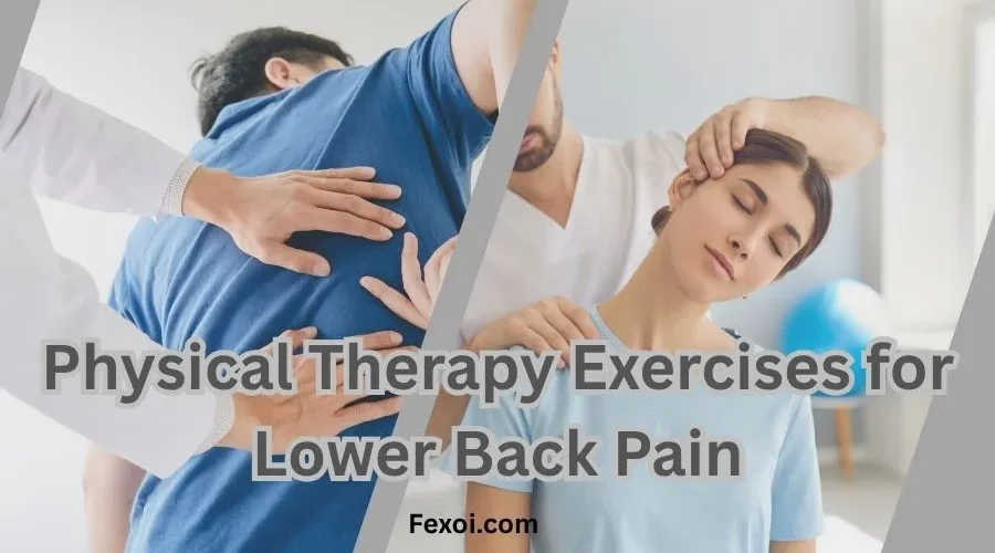 Physical Therapy Exercises for Lower Back Pain