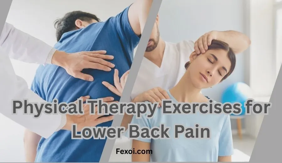 Physical Therapy Exercises for Lower Back Pain