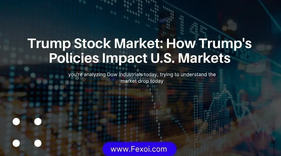 Trump Stock Market