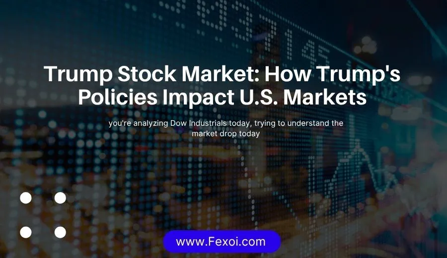 Trump Stock Market